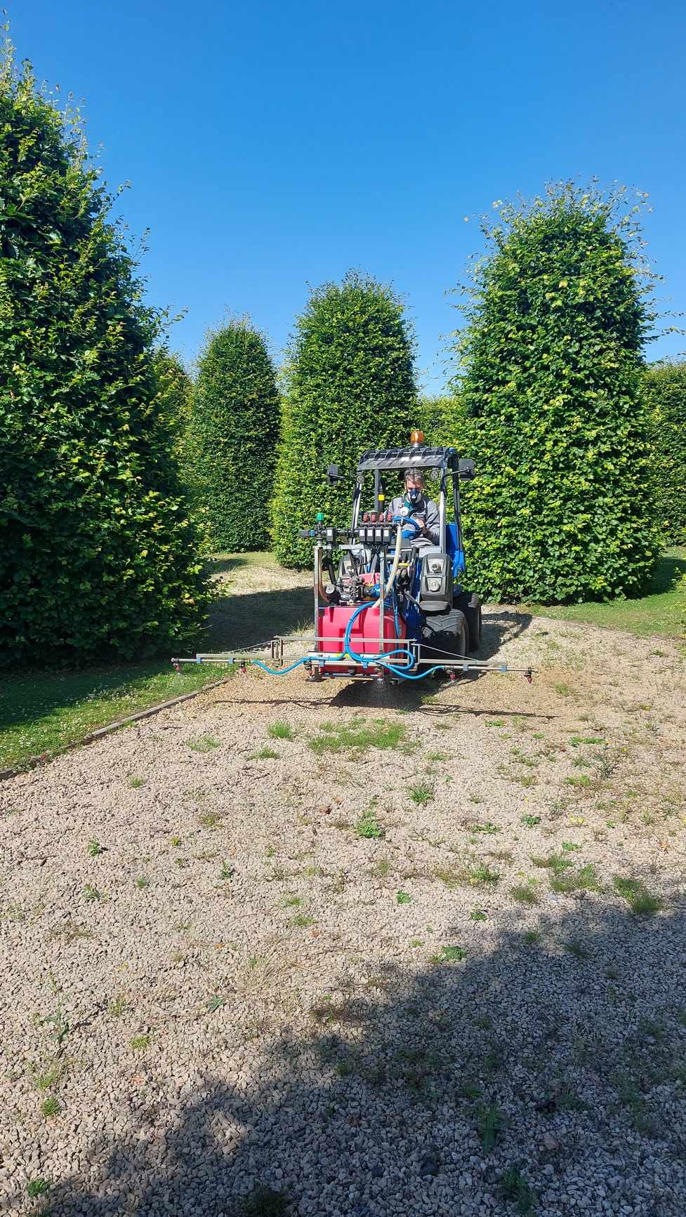 Een schattige puppy die in het gras speelt